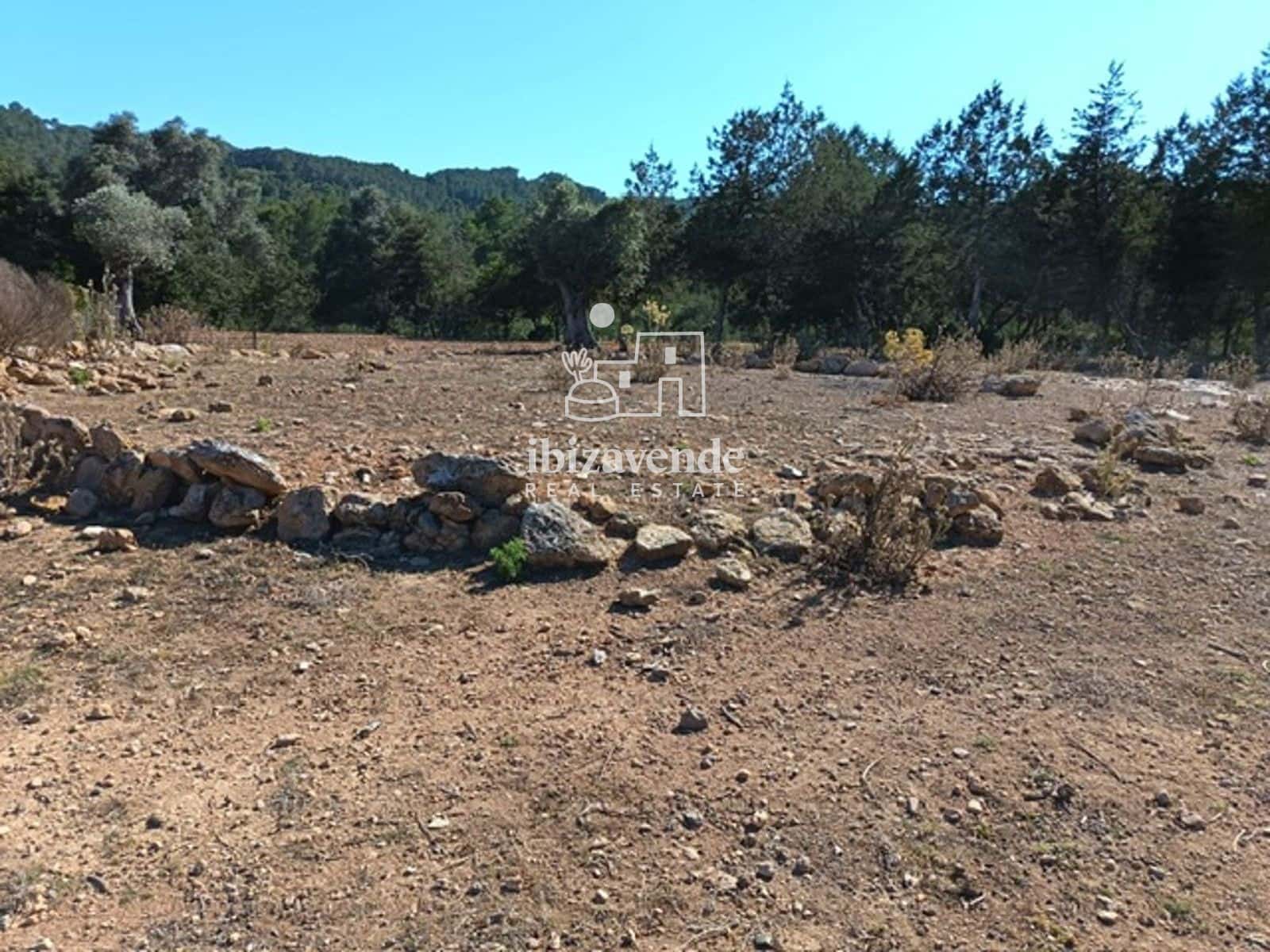 4 bedroom Villa for sale in Santa Eulalia / Santa Eularia - € 3,500,000 (Ref: 10168941)