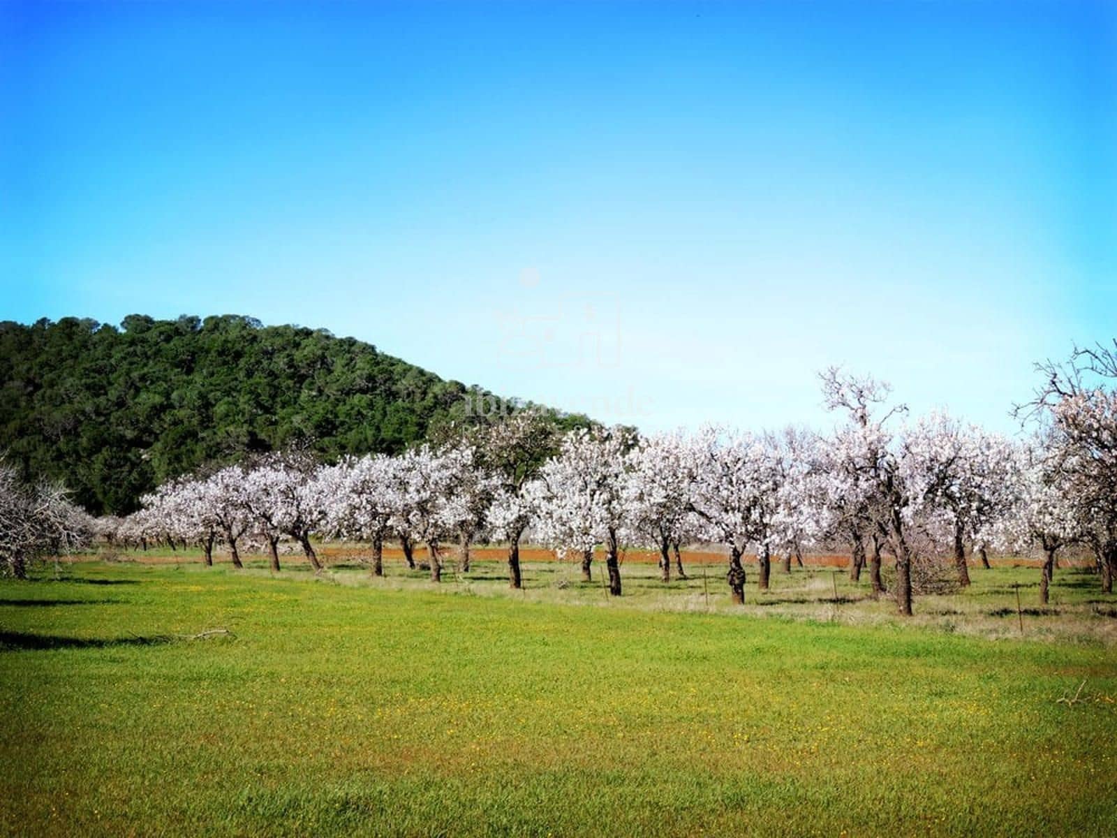 Działka budowlana na sprzedaż w Sant Joan de Labritja - 1 700 000 € (Ref: 8576460)