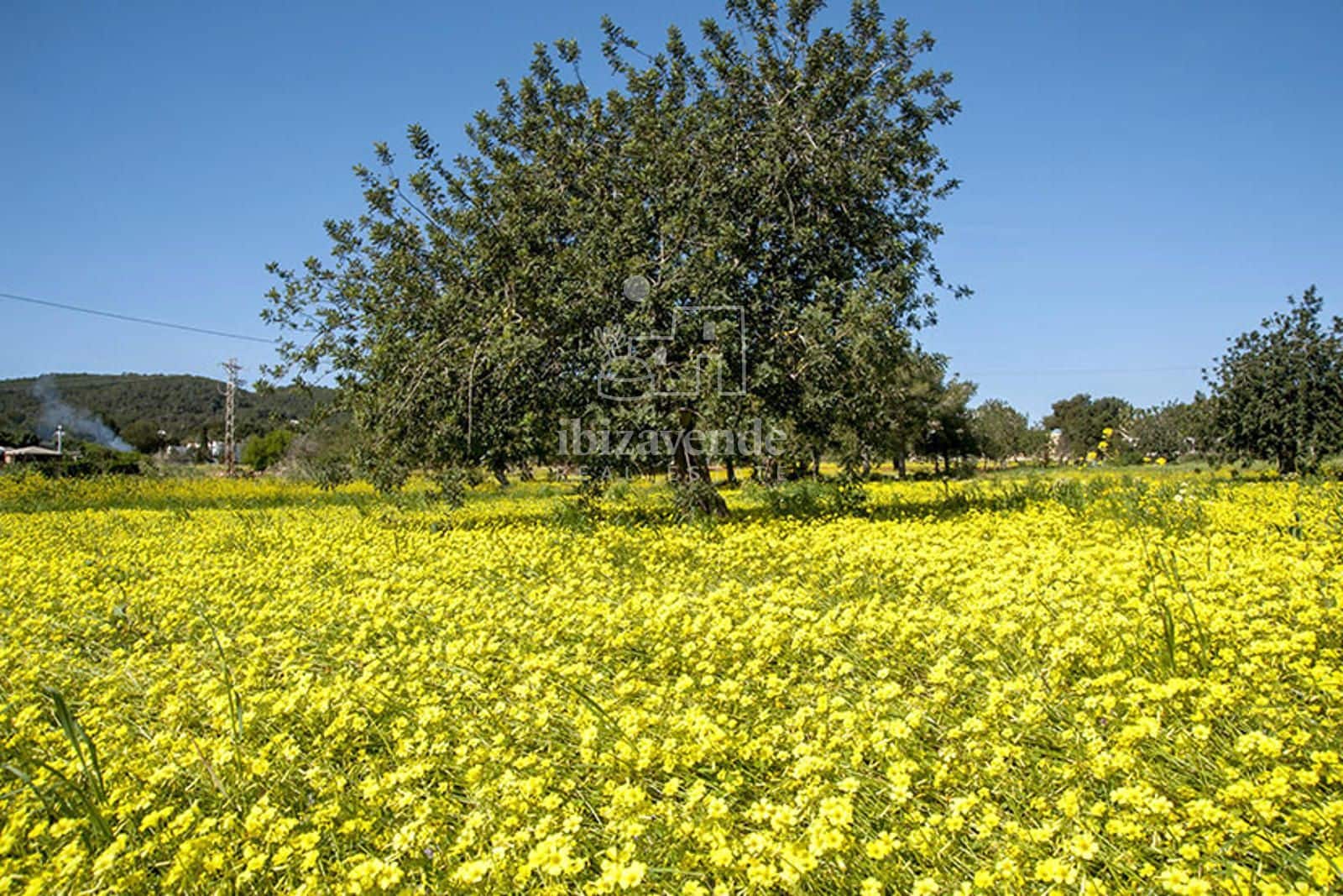 Działka budowlana na sprzedaż w Sant Joan de Labritja - 1 700 000 € (Ref: 8576460)