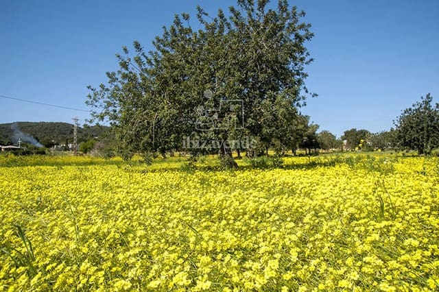 Tomt till salu i Sant Joan de Labritja - 1 700 000 € (Ref: 8576460)