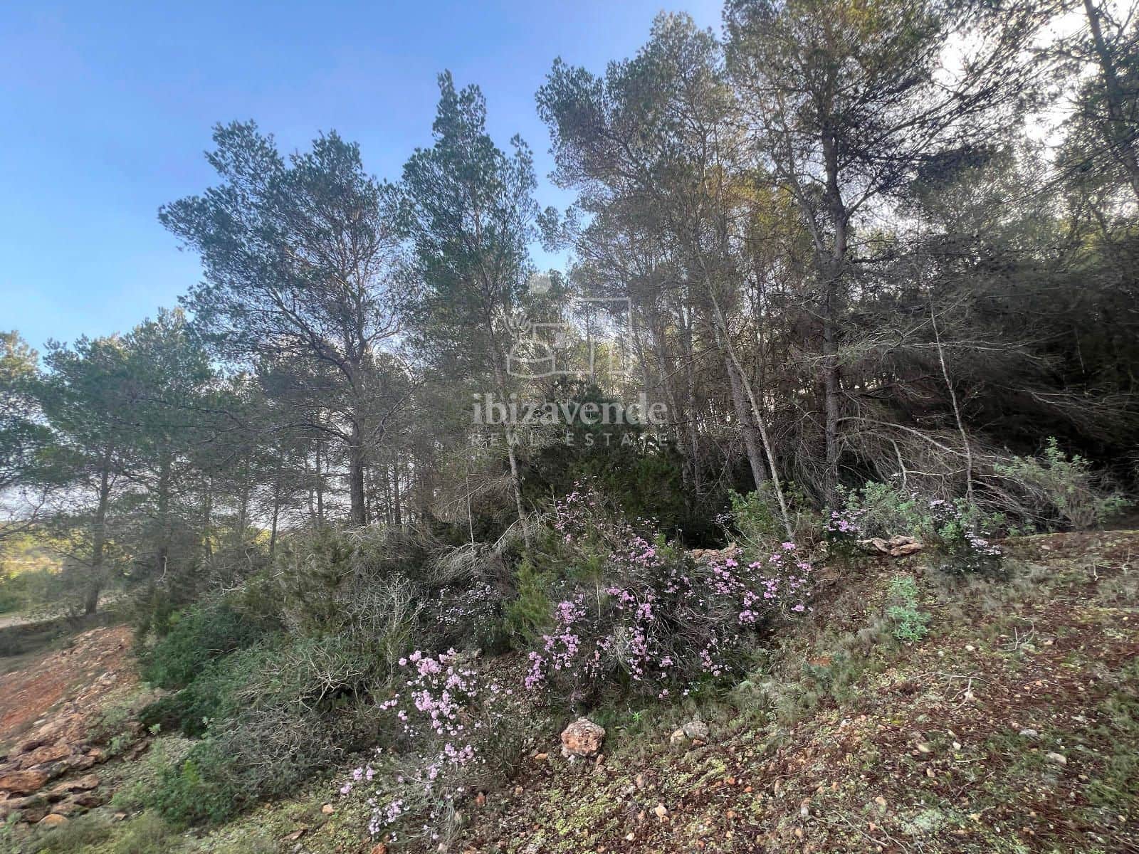 Area Edificabile in vendita in Santa Gertrudis de Fruitera - 955.000 € (Rif: 8662237)