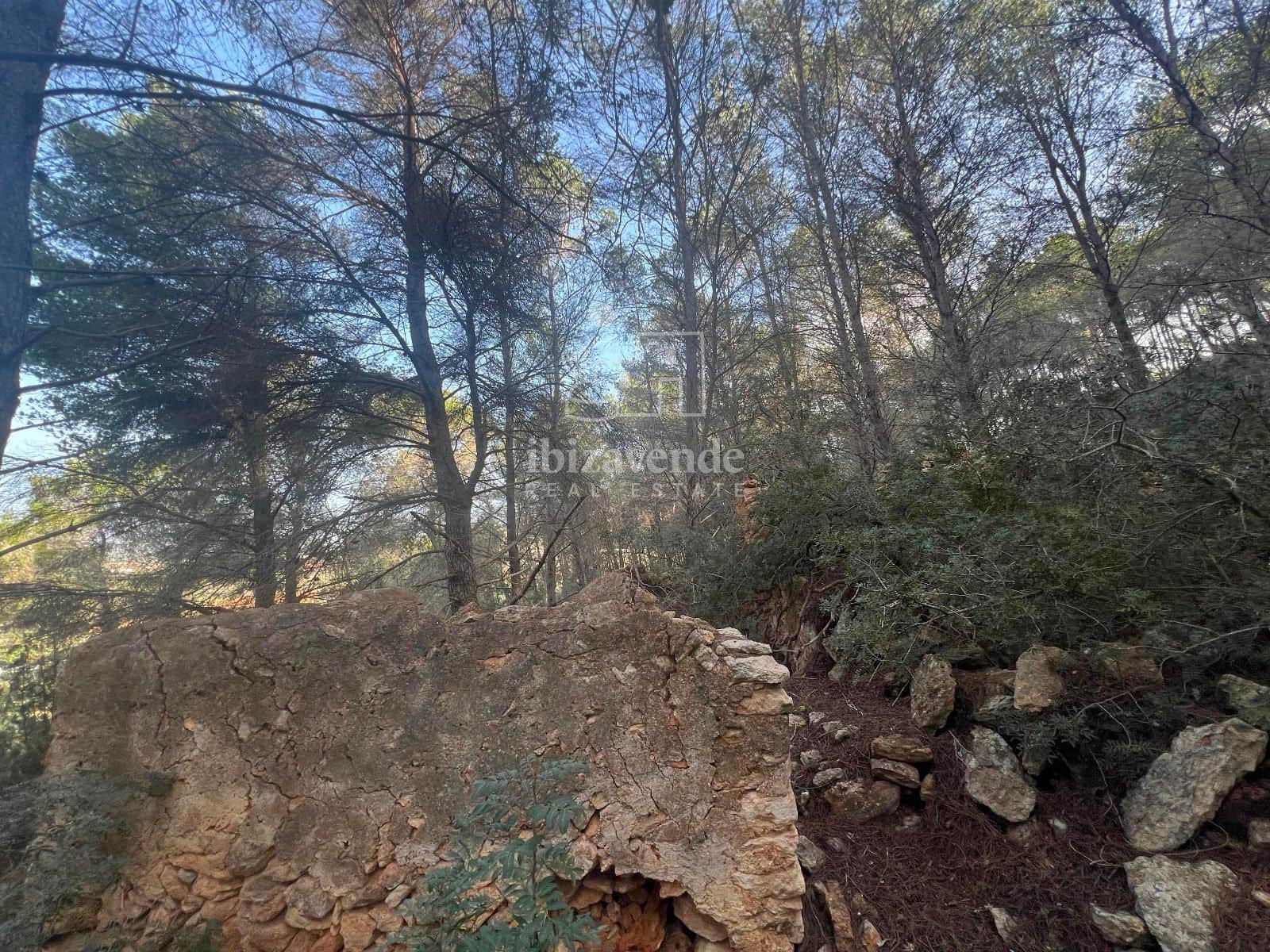 Area Edificabile in vendita in Santa Gertrudis de Fruitera - 955.000 € (Rif: 8662237)