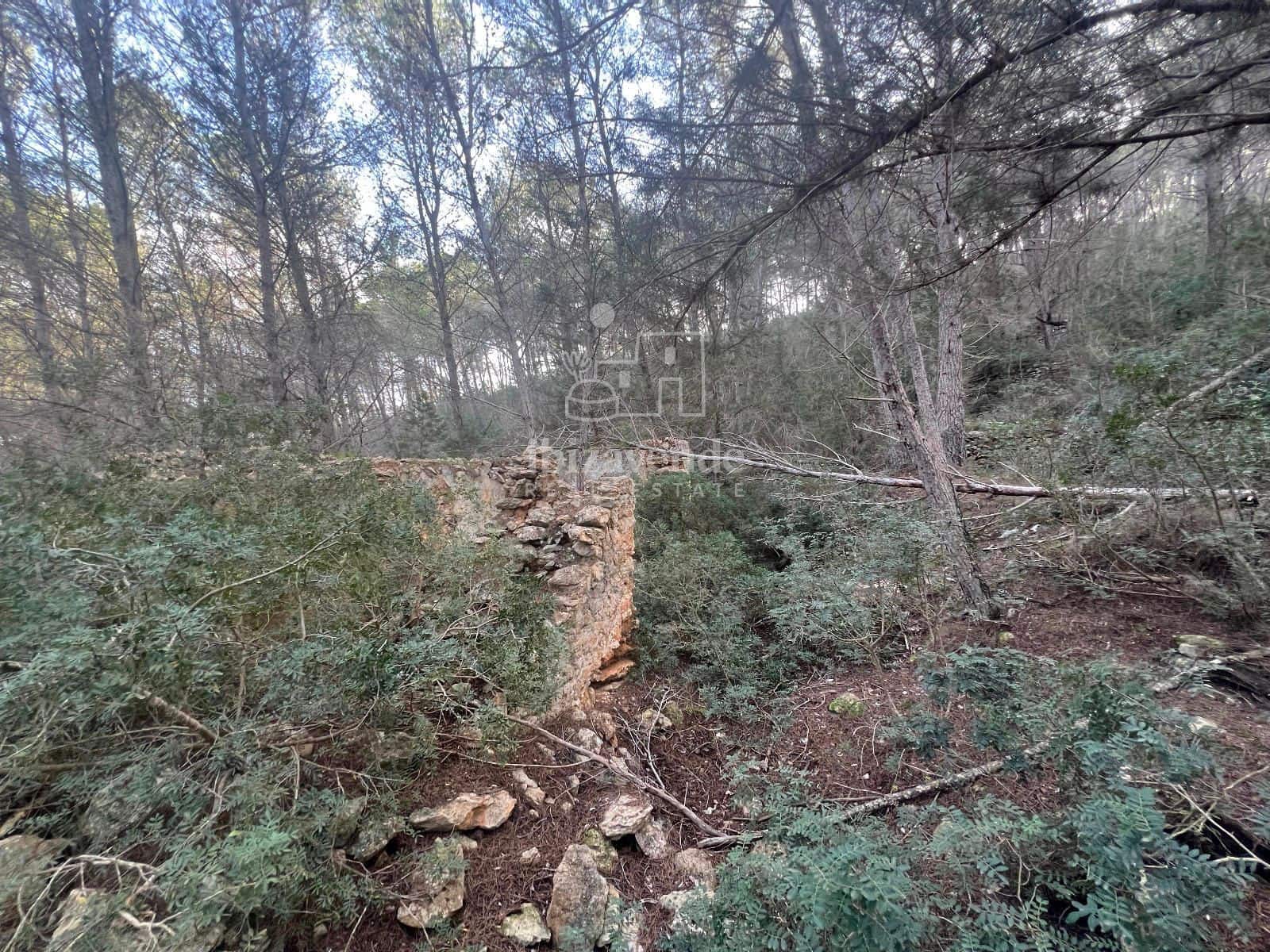 Area Edificabile in vendita in Santa Gertrudis de Fruitera - 955.000 € (Rif: 8662237)