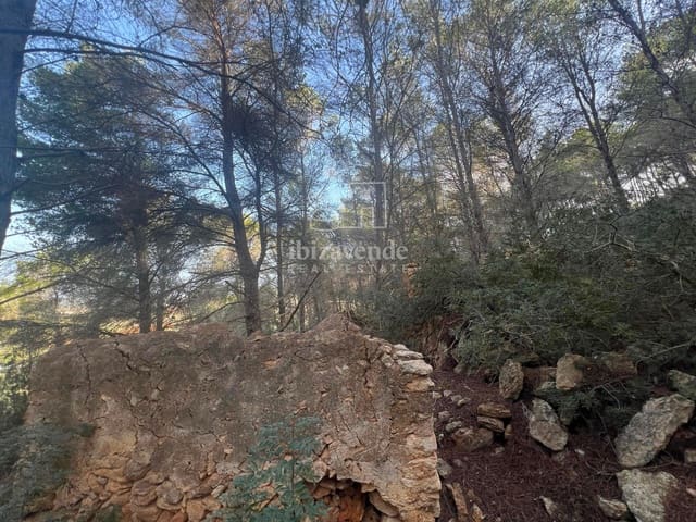 Area Edificabile in vendita in Santa Gertrudis de Fruitera, Santa Eulalia / Santa Eularia - 955.000 € (Rif: 8662237)