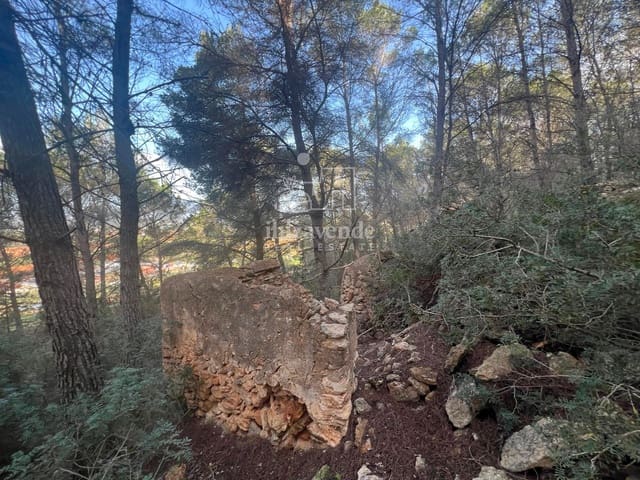 Area Edificabile in vendita in Santa Gertrudis de Fruitera, Santa Eulalia / Santa Eularia - 955.000 € (Rif: 8662237)