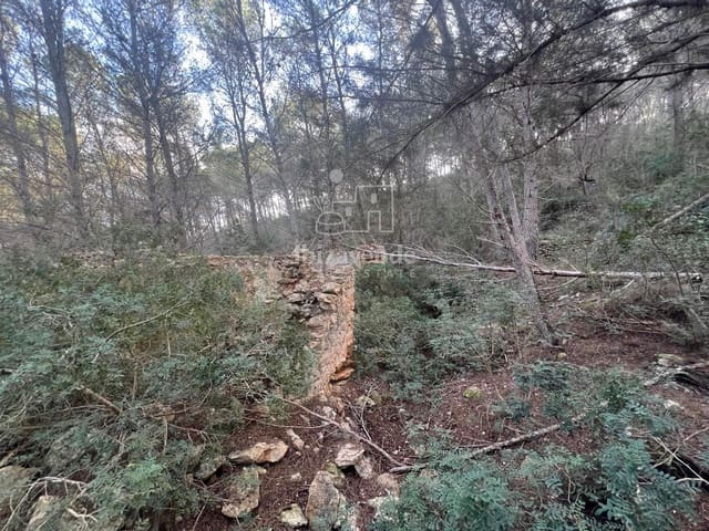 Area Edificabile in vendita in Santa Gertrudis de Fruitera, Santa Eulalia / Santa Eularia - 955.000 € (Rif: 8662237)