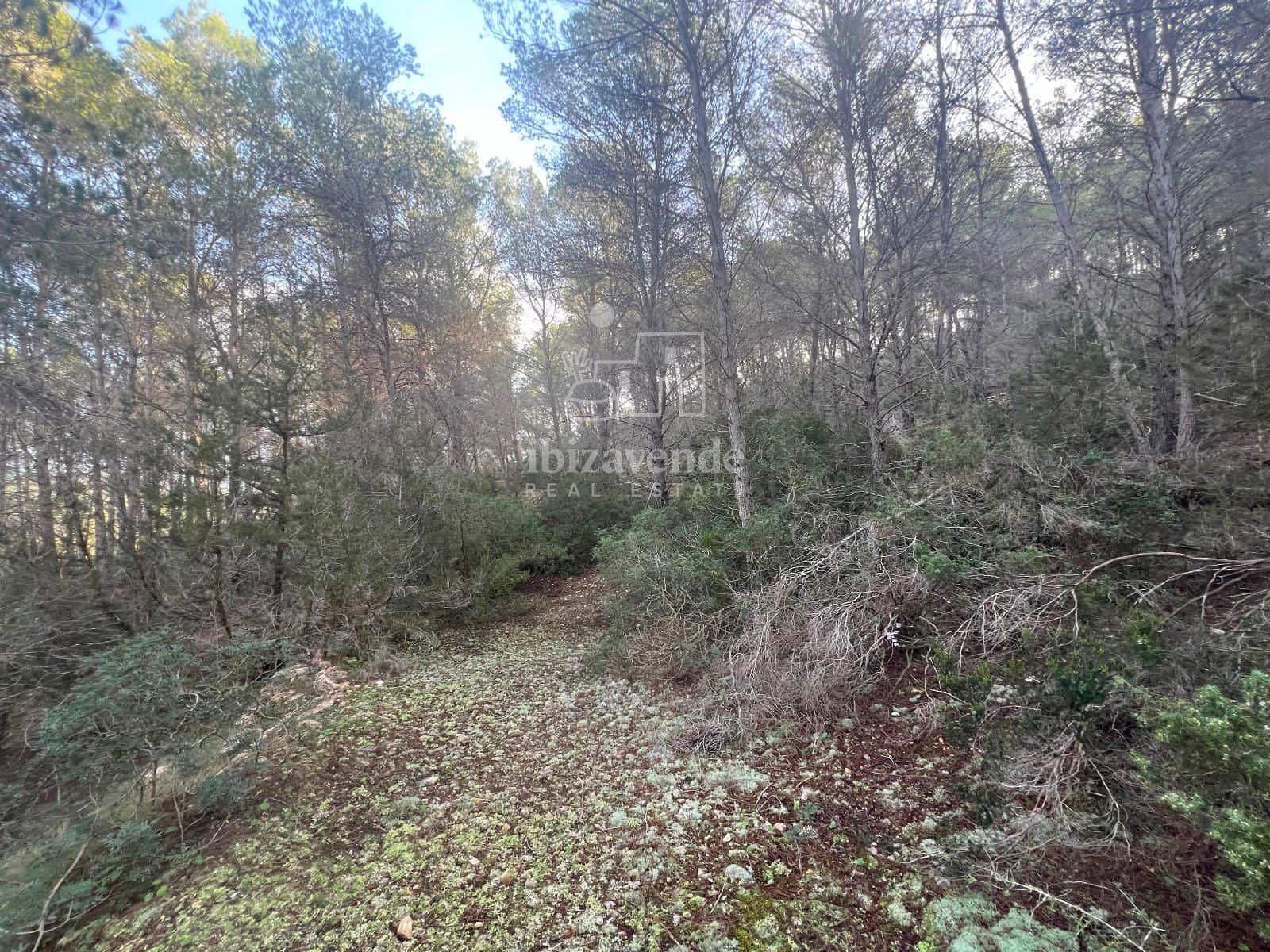 Area Edificabile in vendita in Santa Gertrudis de Fruitera - 955.000 € (Rif: 8662237)