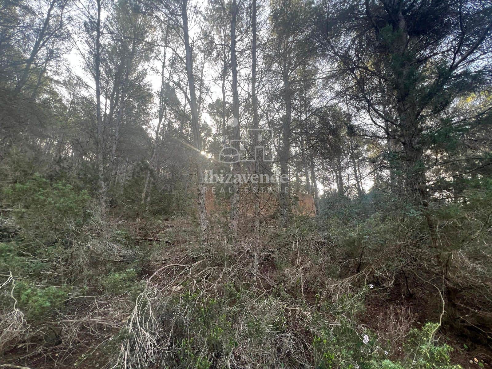 Area Edificabile in vendita in Santa Gertrudis de Fruitera - 955.000 € (Rif: 8662237)