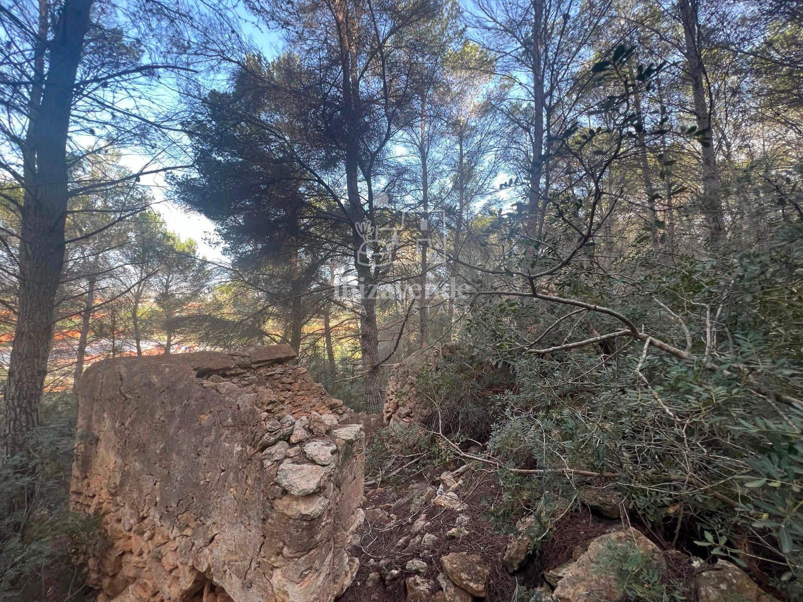 Area Edificabile in vendita in Santa Gertrudis de Fruitera - 955.000 € (Rif: 8662237)