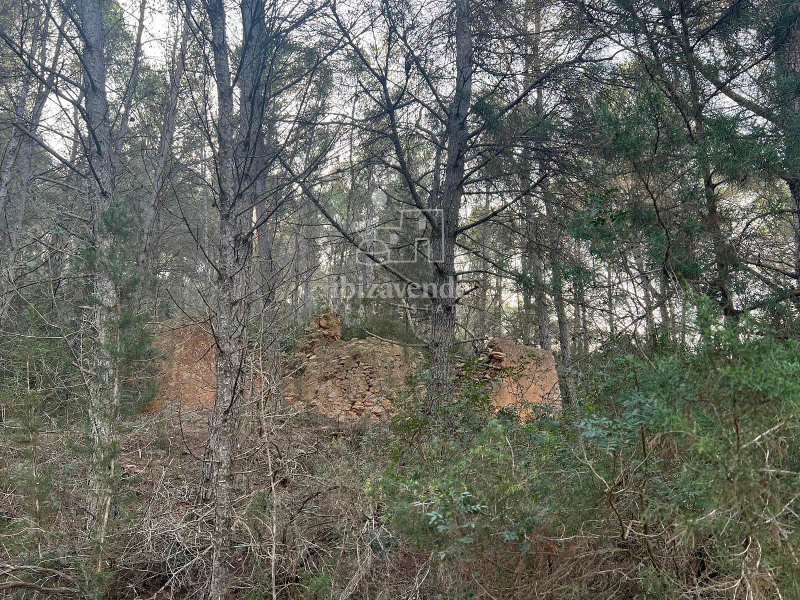 Area Edificabile in vendita in Santa Gertrudis de Fruitera - 955.000 € (Rif: 8662237)