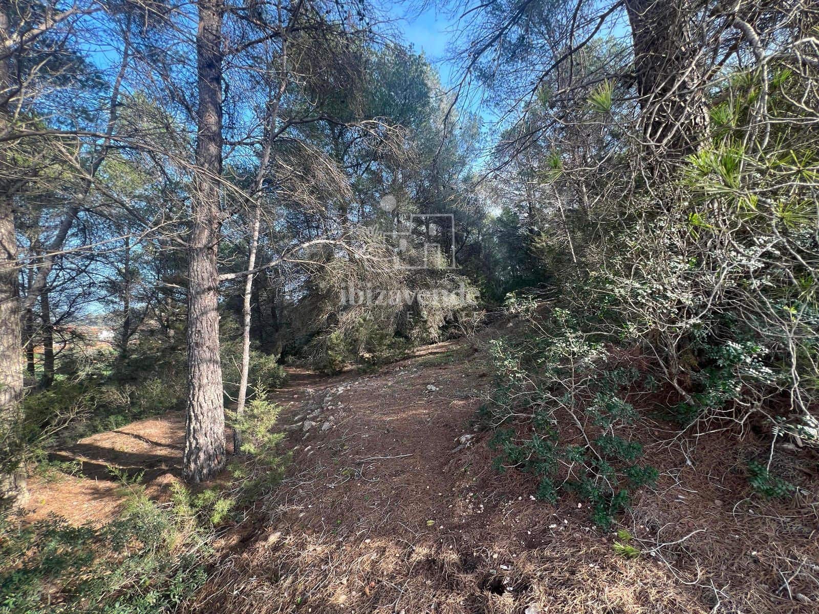 Area Edificabile in vendita in Santa Gertrudis de Fruitera - 955.000 € (Rif: 8662237)