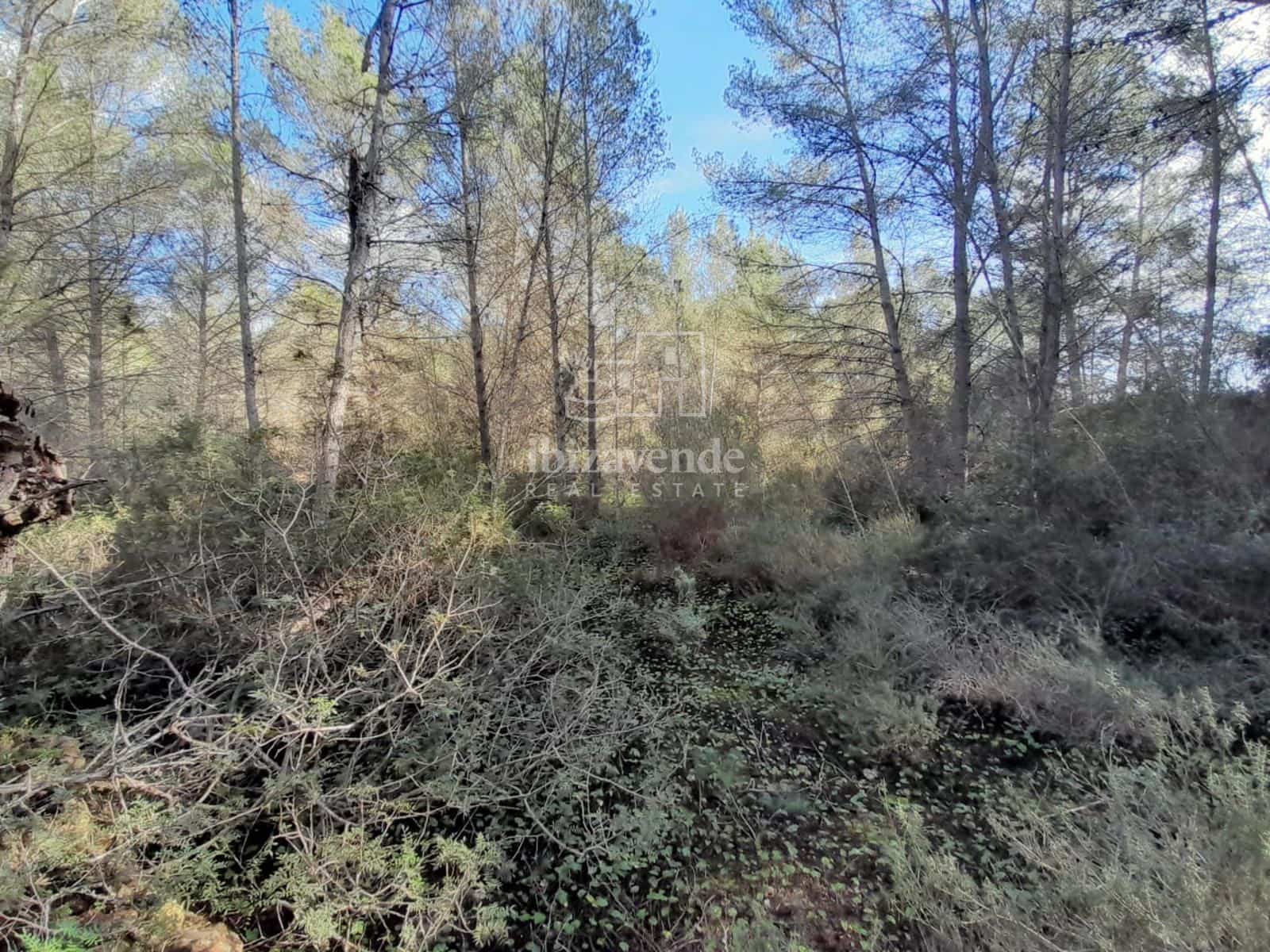 Area Edificabile in vendita in Sant Joan de Labritja - 1.275.000 € (Rif: 8712708)