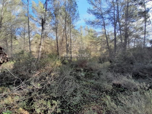 Building Plot for sale in Sant Joan de Labritja - € 1,275,000 (Ref: 8712708)