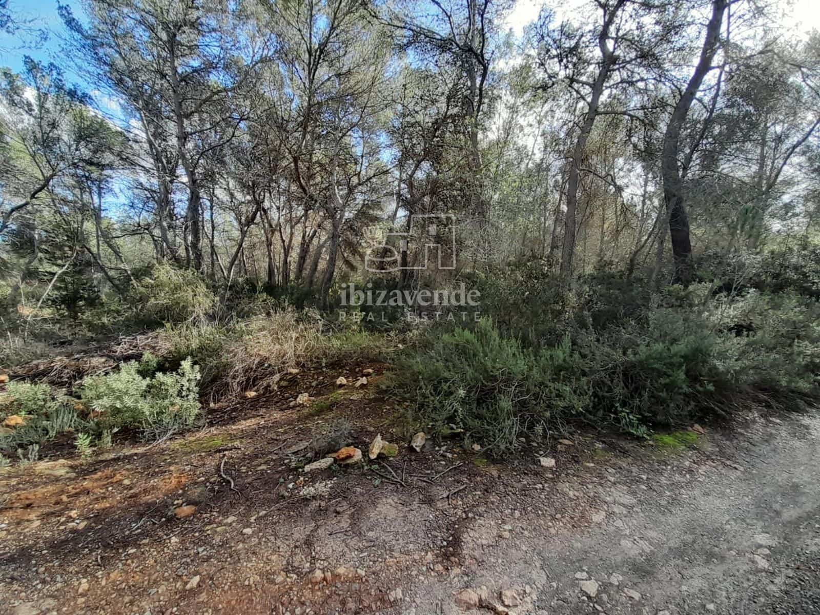 Area Edificabile in vendita in Sant Joan de Labritja - 1.275.000 € (Rif: 8712708)