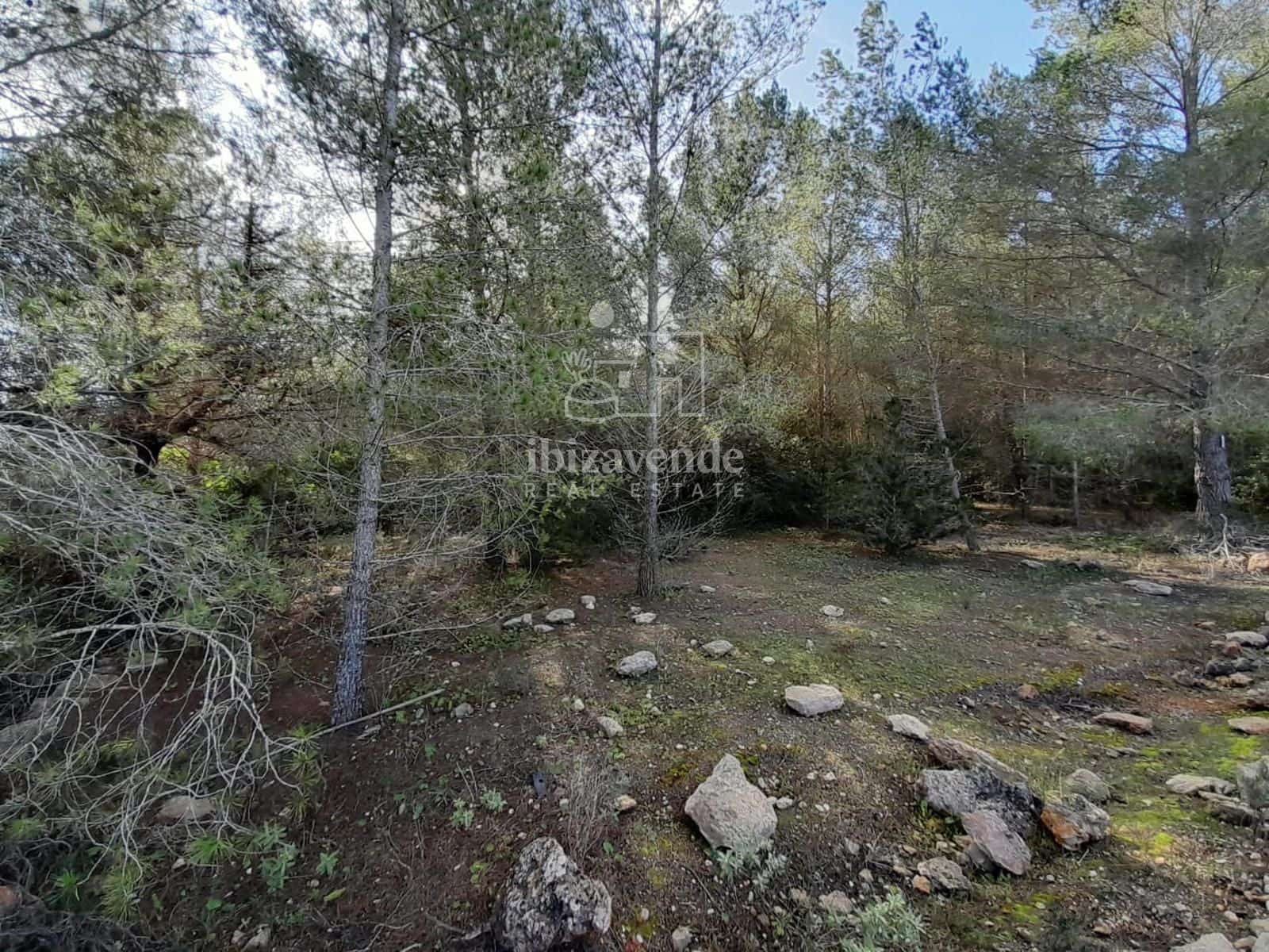 Area Edificabile in vendita in Sant Joan de Labritja - 1.275.000 € (Rif: 8712708)