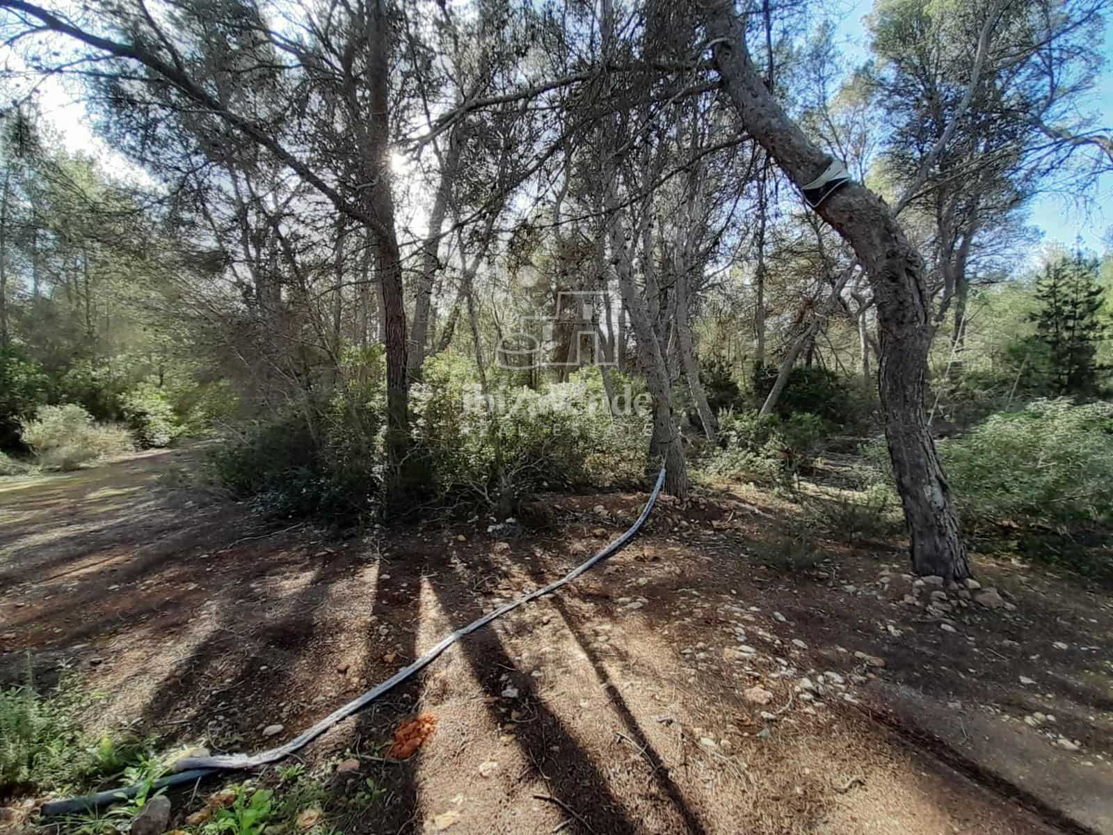 Area Edificabile in vendita in Sant Joan de Labritja - 1.275.000 € (Rif: 8712708)