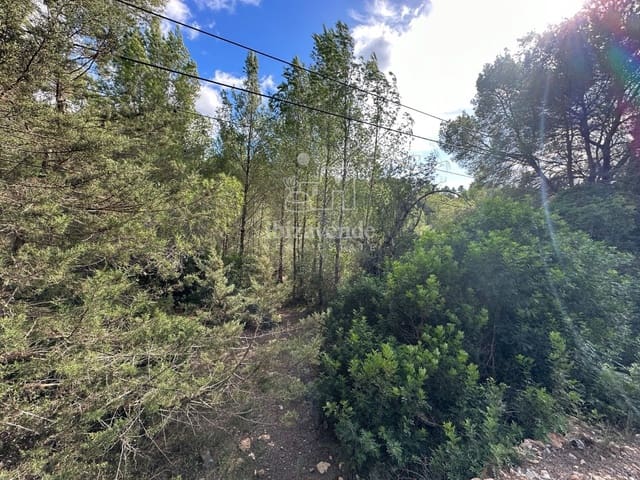 Building Plot for sale in San Miguel / Sant Miquel de Balansat, Sant Joan de Labritja - € 250,000 (Ref: 8786828)