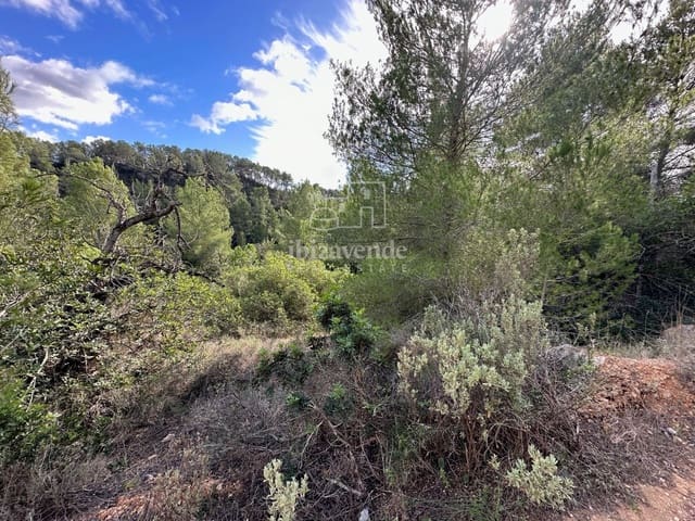 Building Plot for sale in San Miguel / Sant Miquel de Balansat, Sant Joan de Labritja - € 250,000 (Ref: 8786828)