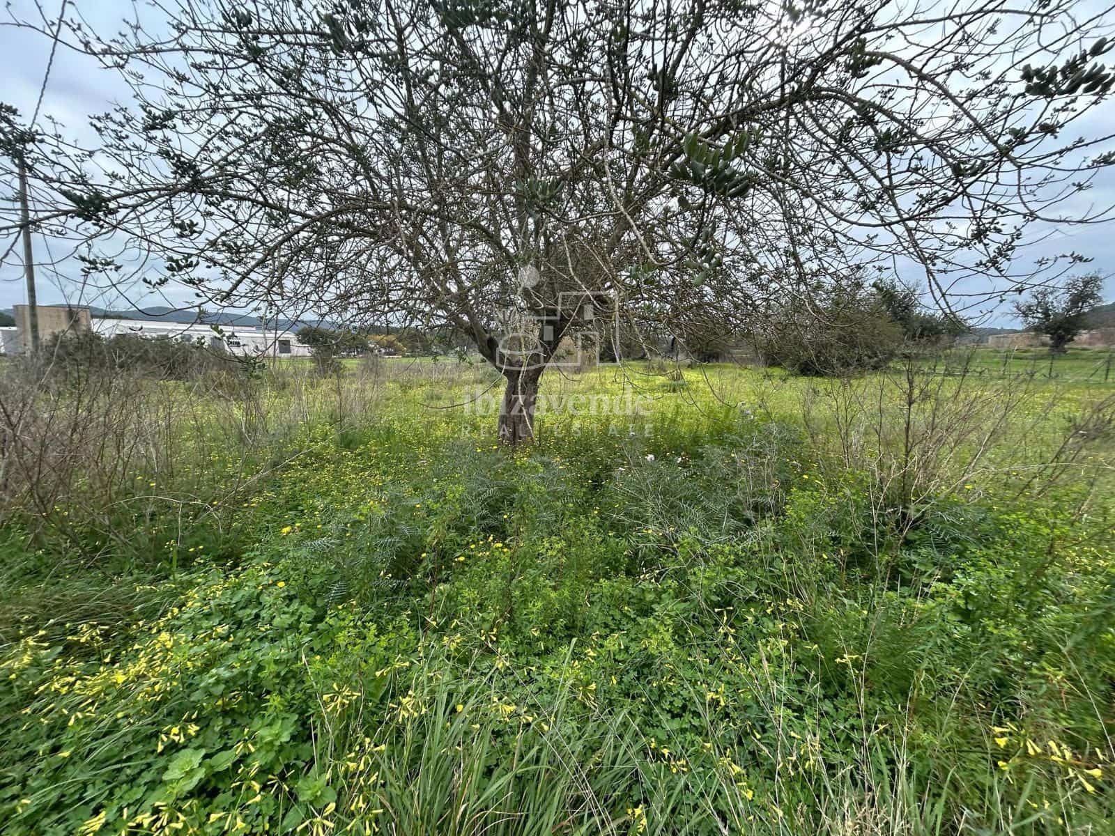 Byggegrund til salg i Sant Llorenc de Balafia - € 850.000 (Ref: 8915647)