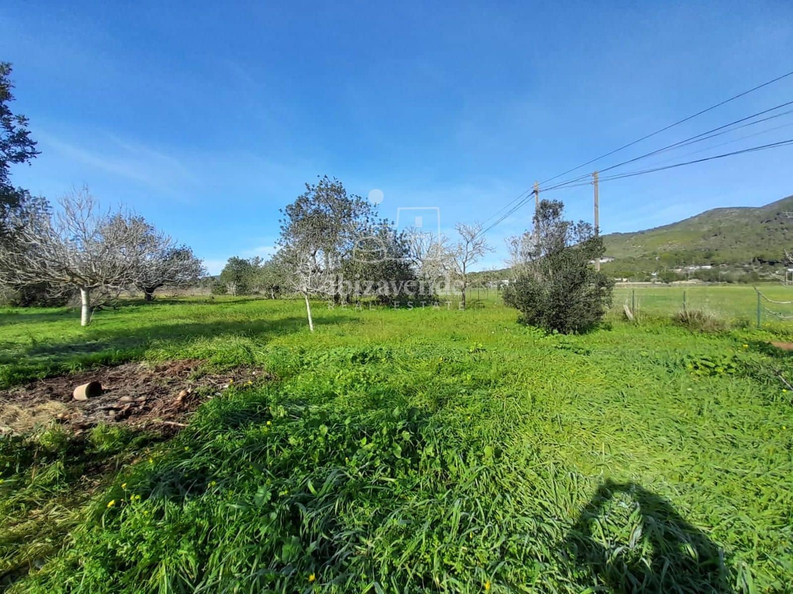 Byggegrund til salg i Sant Llorenc de Balafia - € 875.000 (Ref: 8961809)