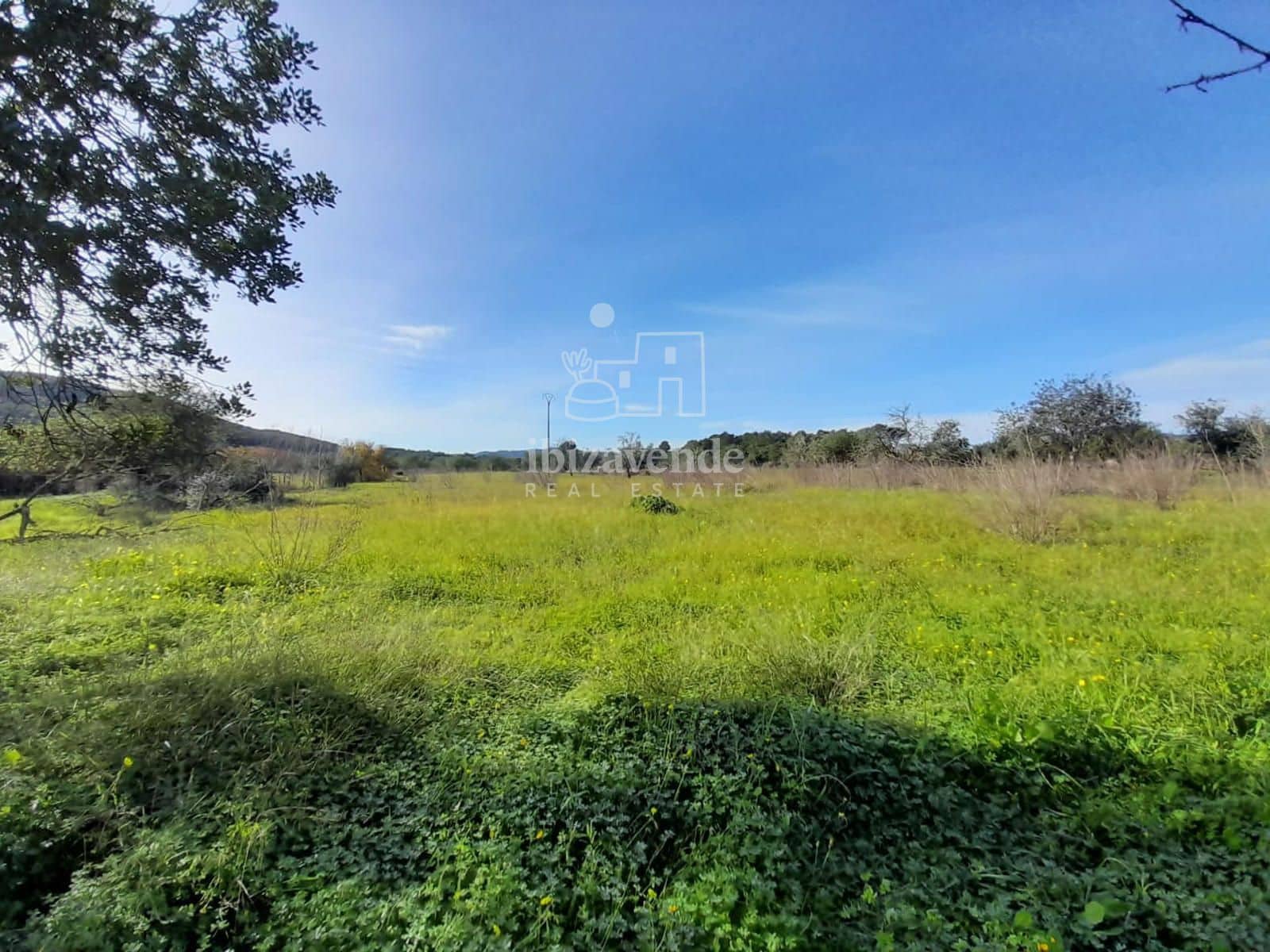 Byggegrund til salg i Sant Llorenc de Balafia - € 875.000 (Ref: 8961809)
