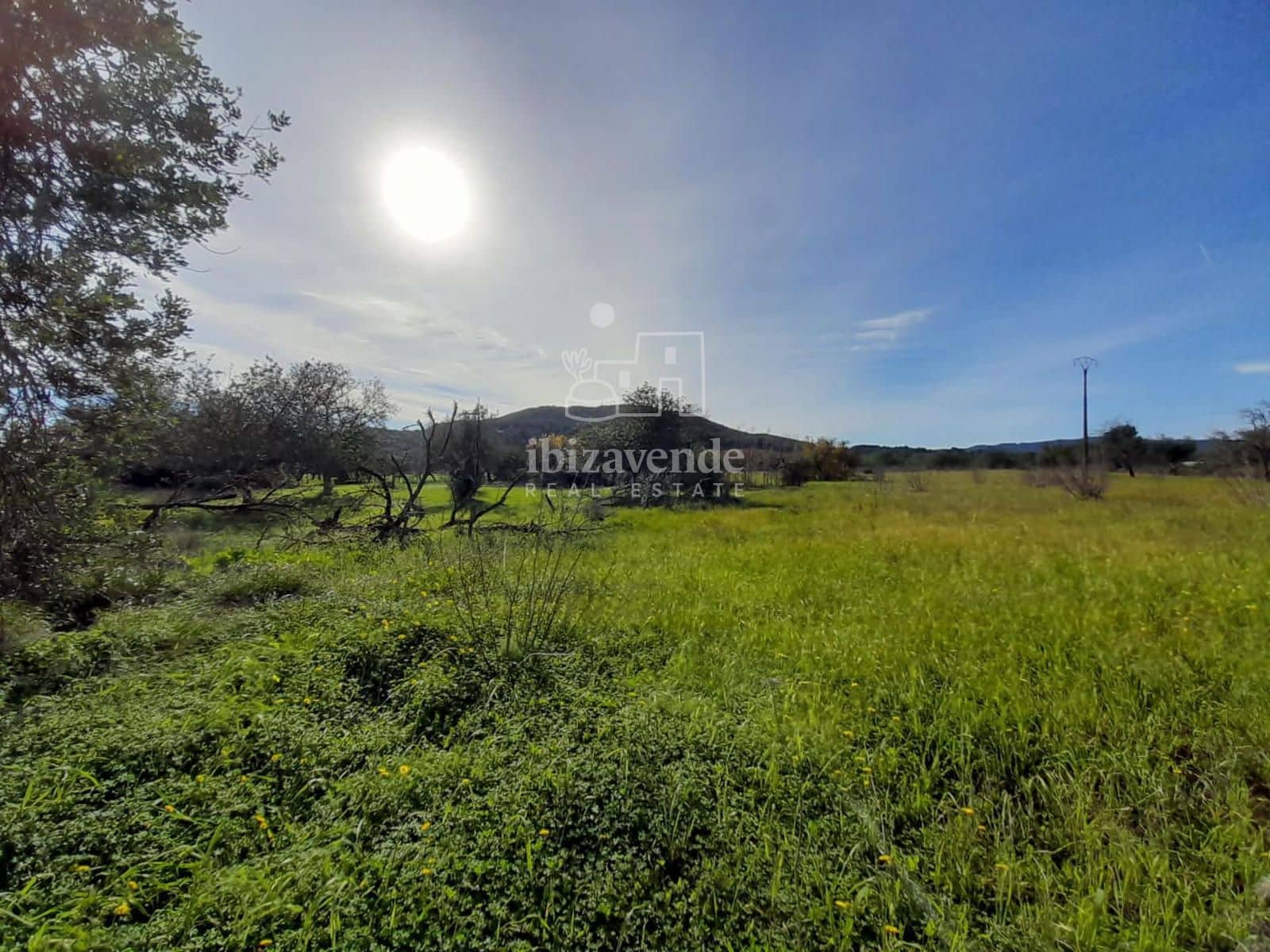 Byggegrund til salg i Sant Llorenc de Balafia - € 875.000 (Ref: 8961809)