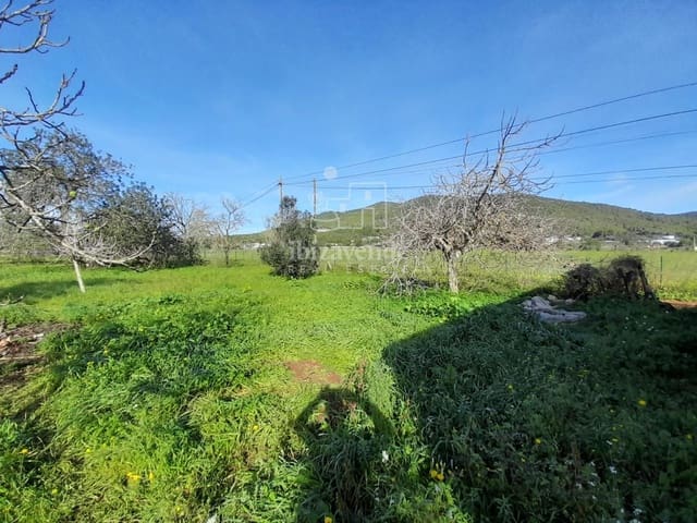 Building Plot for sale in Sant Llorenç de Balafia, Sant Joan de Labritja - € 875,000 (Ref: 8961809)