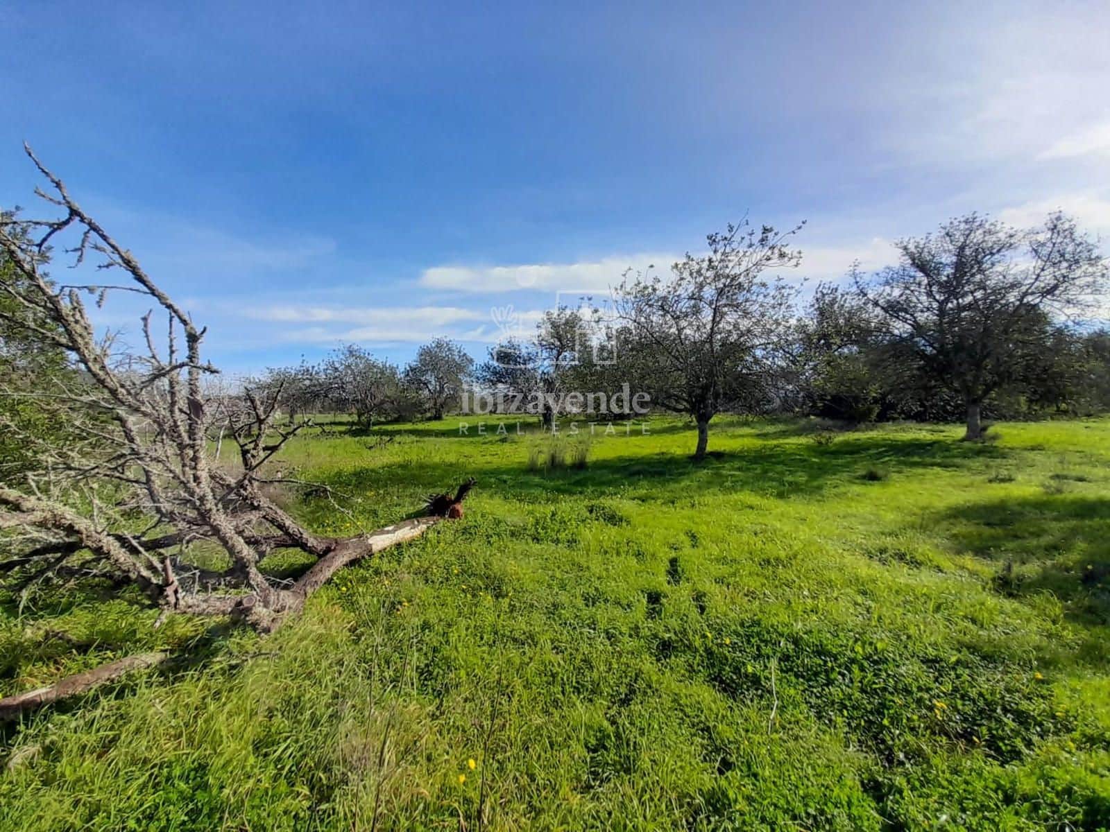 Byggegrund til salg i Sant Llorenc de Balafia - € 875.000 (Ref: 8961809)