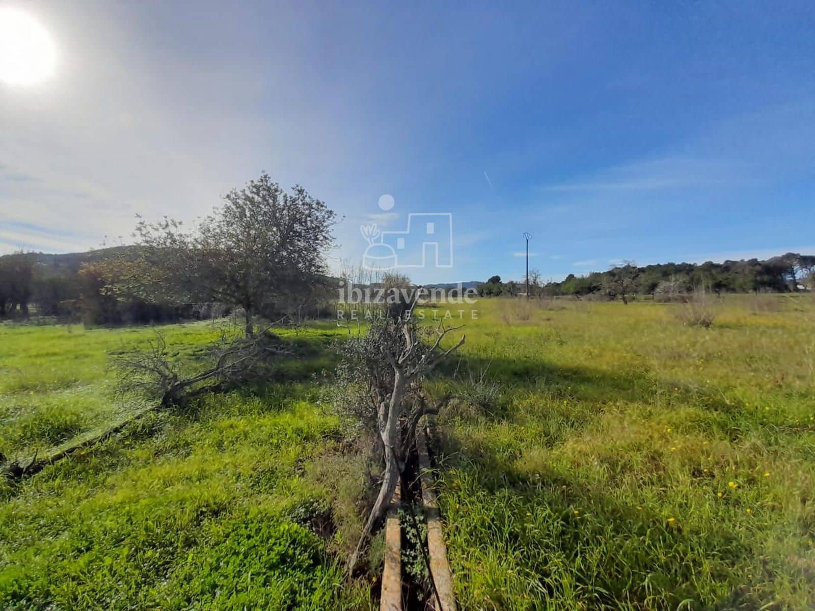 Byggegrund til salg i Sant Llorenc de Balafia - € 875.000 (Ref: 8961809)