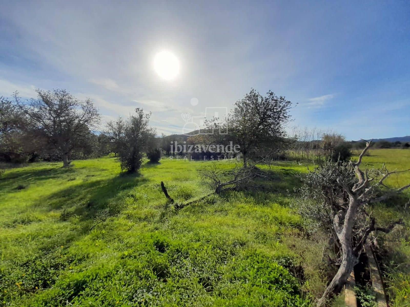 Byggegrund til salg i Sant Llorenc de Balafia - € 875.000 (Ref: 8961809)