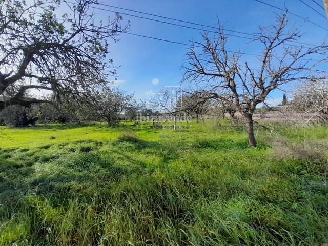 Building Plot for sale in Sant Llorenç de Balafia, Sant Joan de Labritja - € 875,000 (Ref: 8961809)