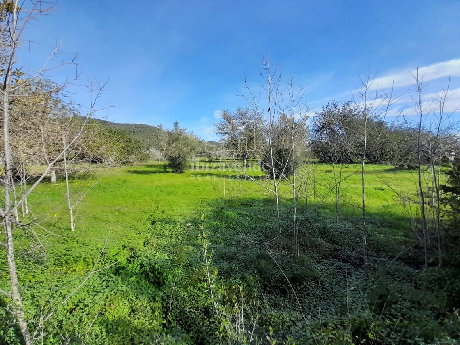 Byggegrund til salg i Sant Llorenc de Balafia - € 875.000 (Ref: 8961809)