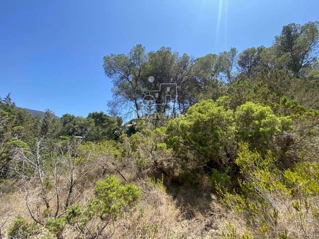 Building Plot for sale in Cala Vadella, San Jose / Sant Josep de Sa Talaia - € 203,000 (Ref: 9001495)