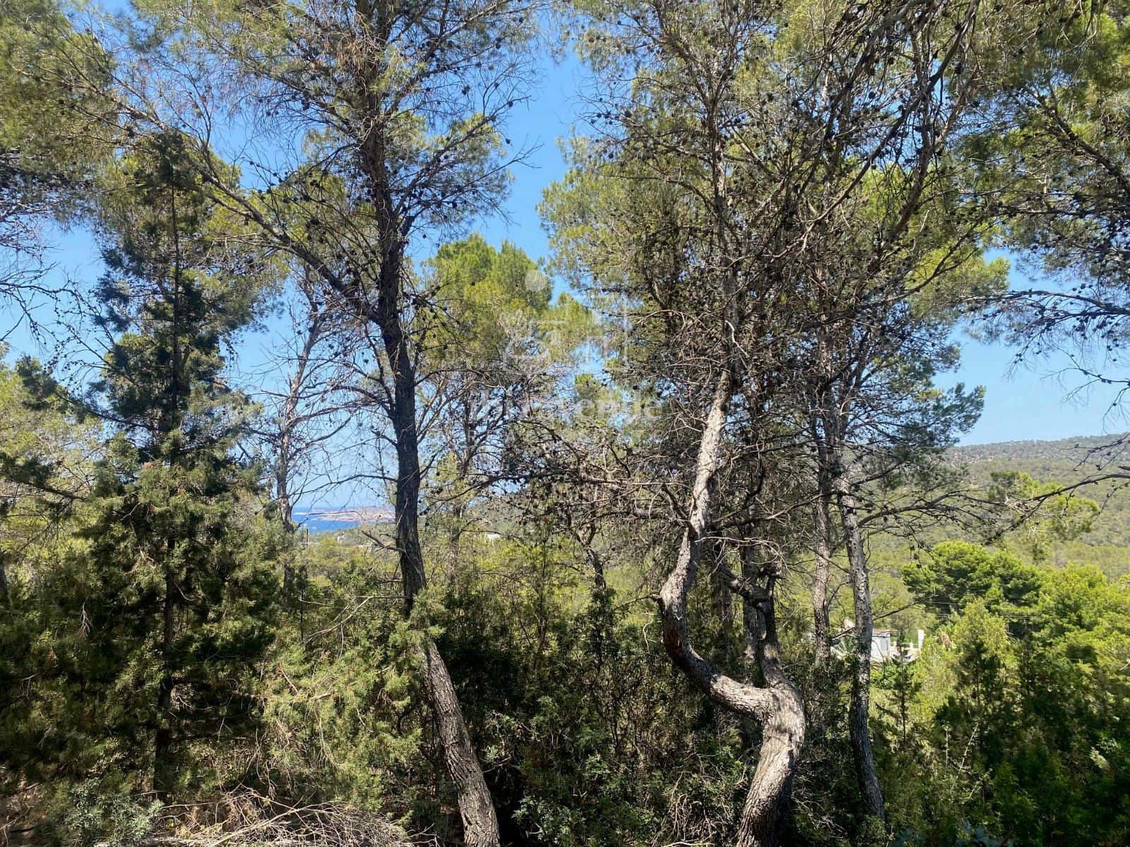 Bouwgrond te koop in Cala Vadella - € 203.000 (Ref: 9001495)