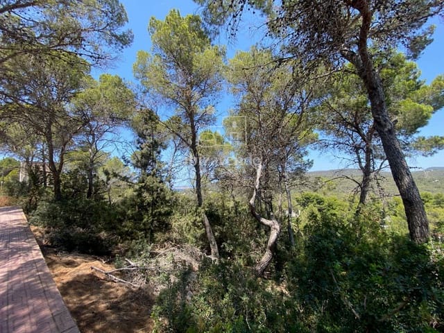 Building Plot for sale in Cala Vadella, San Jose / Sant Josep de Sa Talaia - € 203,000 (Ref: 9001495)