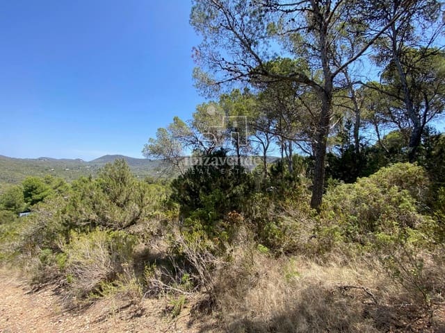 Building Plot for sale in Cala Vadella, San Jose / Sant Josep de Sa Talaia - € 203,000 (Ref: 9001495)