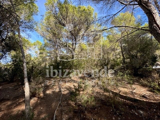 Byggetomt til salgs i San Jose / Sant Josep de Sa Talaia - € 225 000 (Ref: 9041477)
