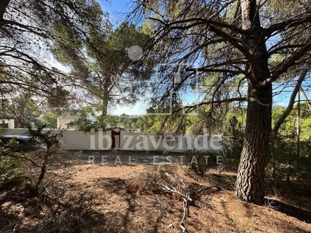 Byggetomt til salgs i San Jose / Sant Josep de Sa Talaia - € 225 000 (Ref: 9041477)