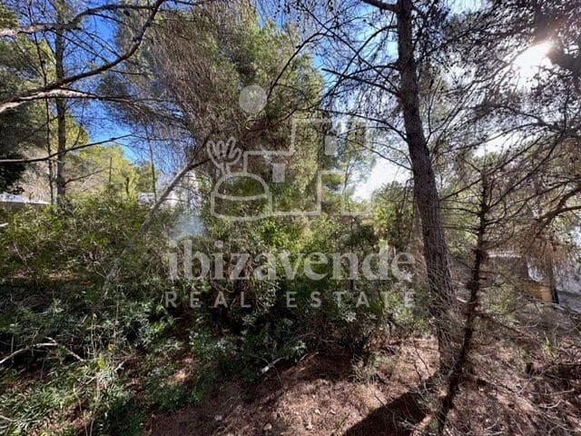 Byggetomt til salgs i San Jose / Sant Josep de Sa Talaia - € 225 000 (Ref: 9041477)