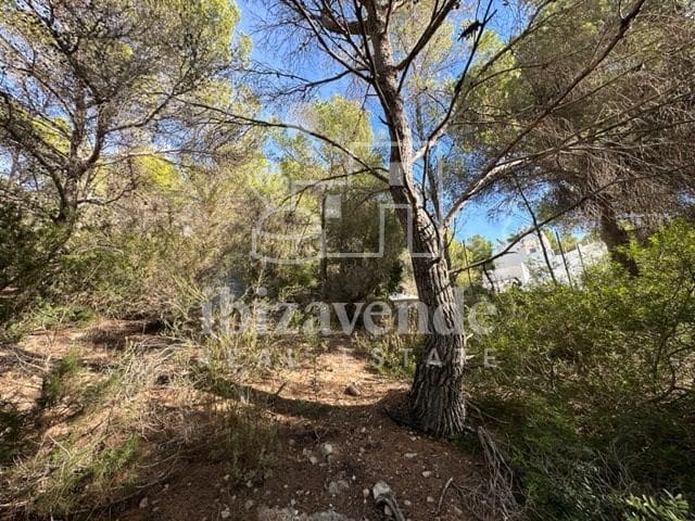 Byggetomt til salgs i San Jose / Sant Josep de Sa Talaia - € 225 000 (Ref: 9041477)