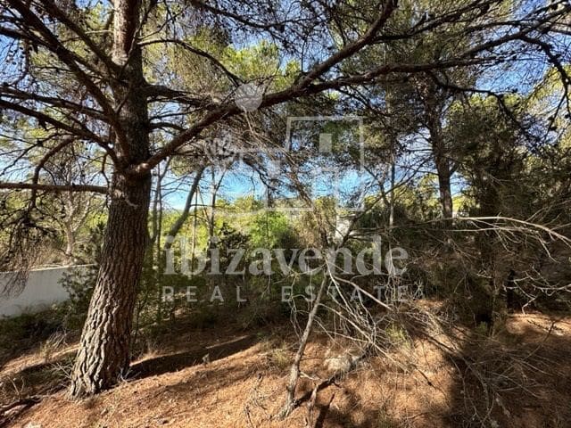 Tomt till salu i San Jose / Sant Josep de Sa Talaia - 225 000 € (Ref: 9041477)