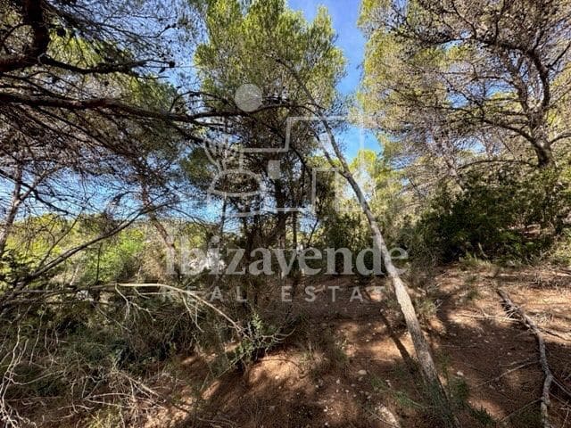 Tomt till salu i San Jose / Sant Josep de Sa Talaia - 225 000 € (Ref: 9041477)