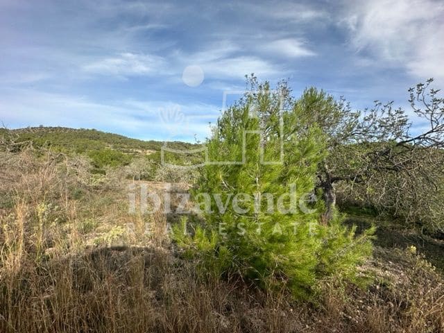 Byggegrund til salg i Sant Rafael de Sa Creu - € 295.000 (Ref: 9041478)