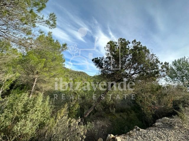 Byggegrund til salg i Sant Rafael de Sa Creu - € 295.000 (Ref: 9041478)