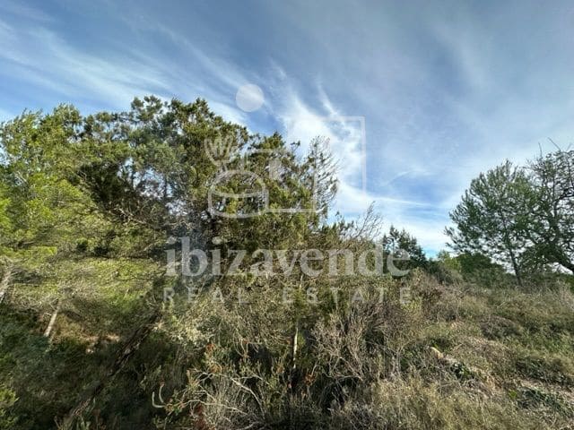 Byggetomt til salgs i Sant Rafael de Sa Creu, Sant Antoni de Portmany - € 295 000 (Ref: 9041478)