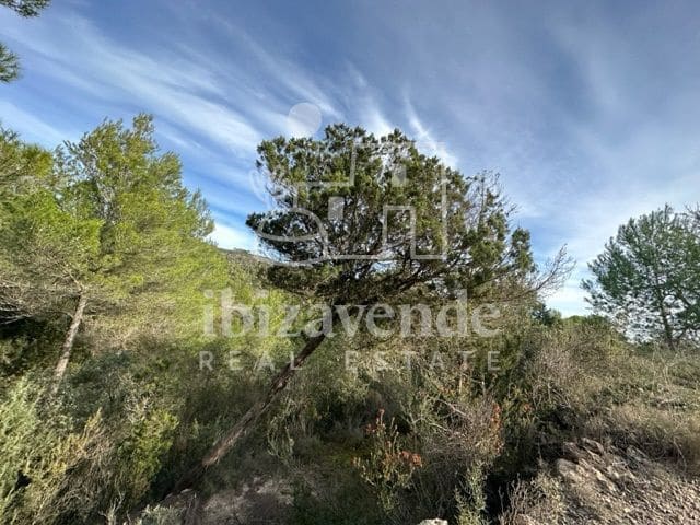 Byggetomt til salgs i Sant Rafael de Sa Creu, Sant Antoni de Portmany - € 295 000 (Ref: 9041478)