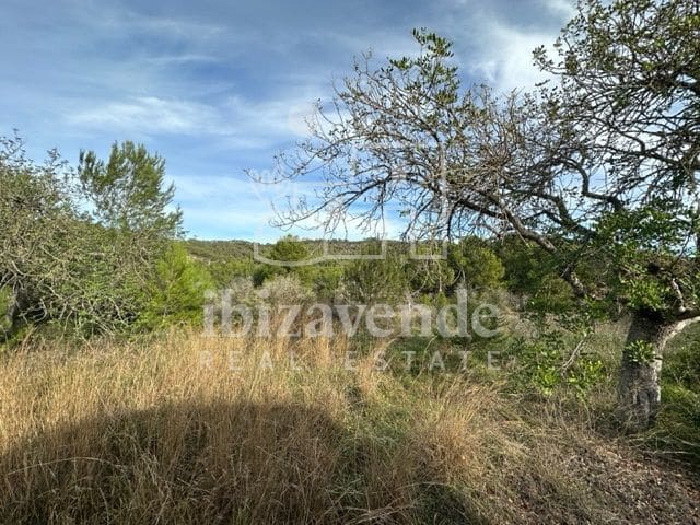 Byggegrund til salg i Sant Rafael de Sa Creu - € 295.000 (Ref: 9041478)