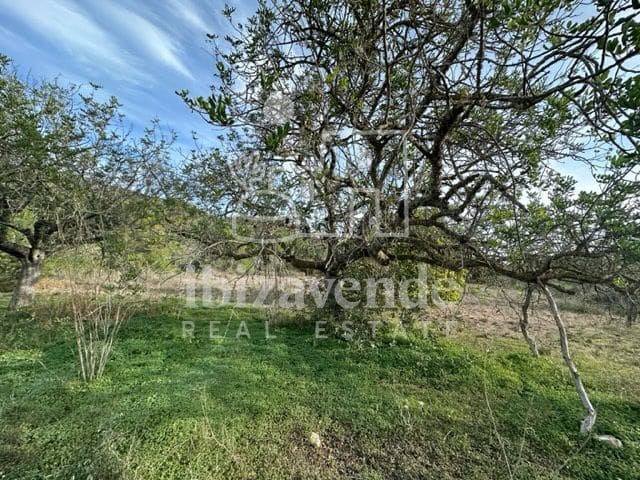 Byggetomt til salgs i Sant Rafael de Sa Creu, Sant Antoni de Portmany - € 295 000 (Ref: 9041478)