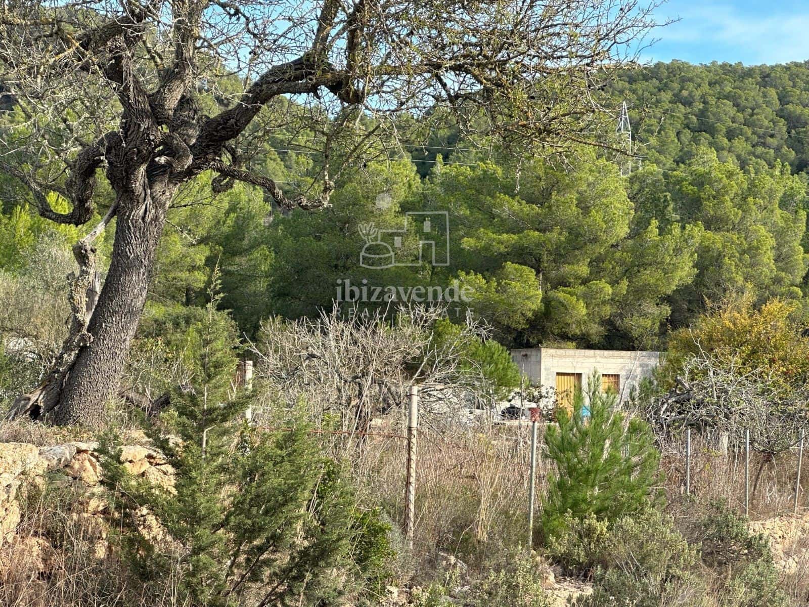 Byggegrund til salg i Sant Rafael de Sa Creu - € 295.000 (Ref: 9041478)