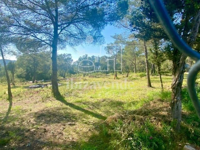 Villa til salg i Sant Antoni de Portmany - € 1.400.000 (Ref: 9041482)